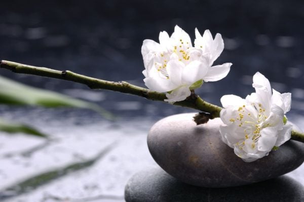 REIKI LEVEL I Training Course